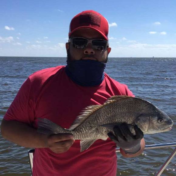 Meet your Posher, Ulysses - Picture 1 of 1